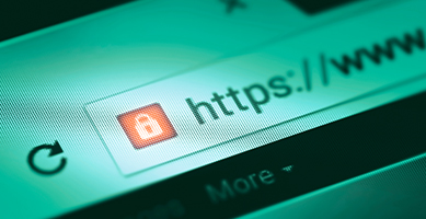 5. Check for SSL certificates 