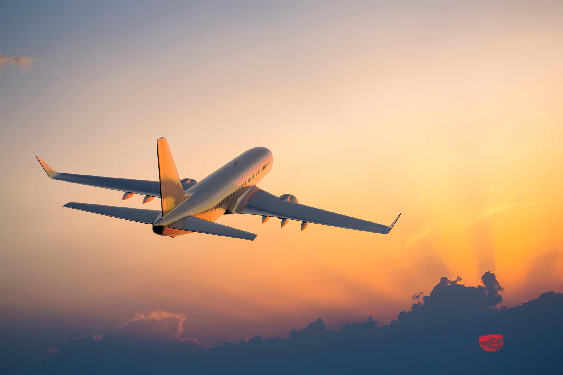 Domestic flights