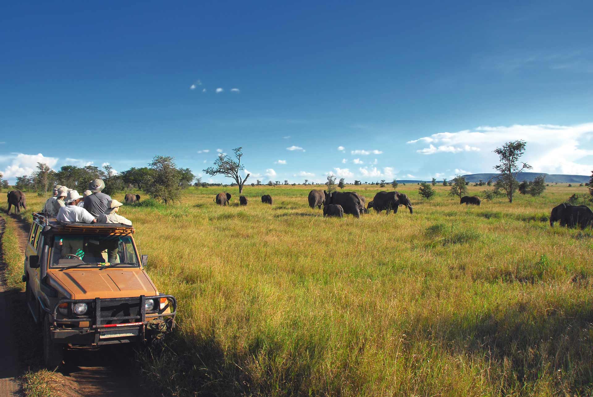 Hluhluwe-Imfolozi safari
