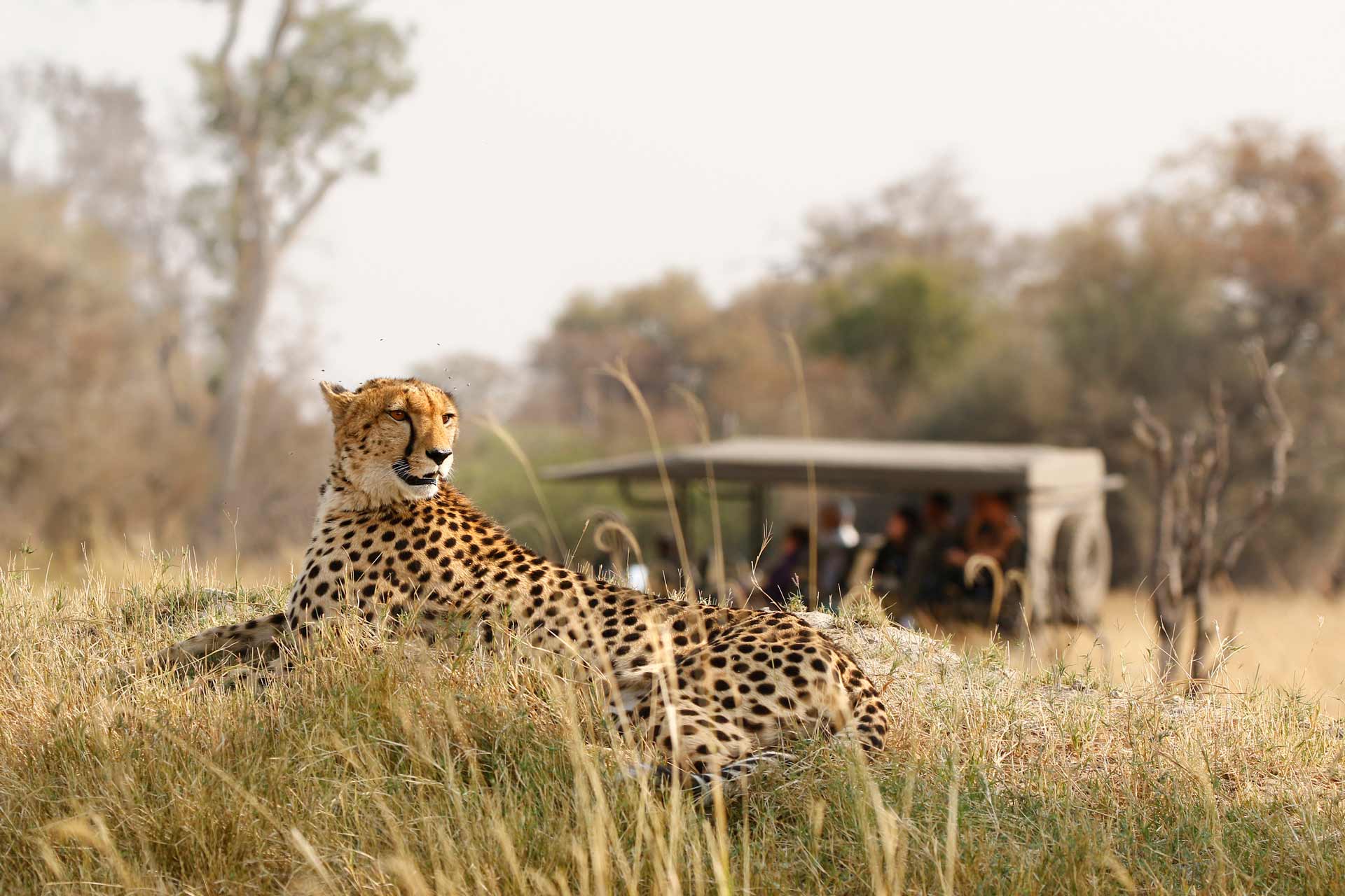 Isimangaliso tours