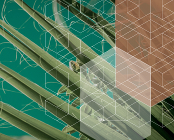 Our vision, mission and values