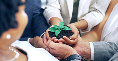 Accelerating innovation